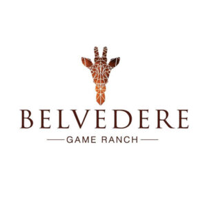 Belvedere Game Rance