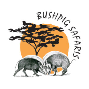 Bush-Pig Hunting And Touring Safaris