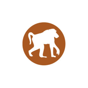 Chacma Bush Camp