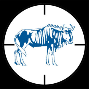 East Cape Wild Sky Safaris