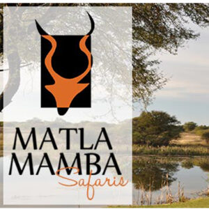 Matla Mamba Safaris