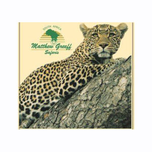 Matthew Greeff Safaris
