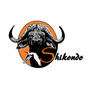 Shikondo Safari